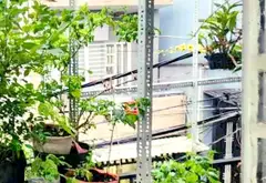 NHÀ HXH 5M, 51M² 2 TẦNG BTCT, HÀ HUY GIÁP, Q12, GIẢM CÒN 3,95 tỷ TLC... Bán nhà riêng tại An Phú Đông, Hồ Chí Minh 05