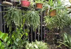 Bán căn hộ chung cư 3 phòng ngủ tại Xuân Phương, căn góc tầng 18 view ĐH CÔNG NGHIỆP... Bán căn hộ chung cư tại Xuân Phương, Hà Nội 07