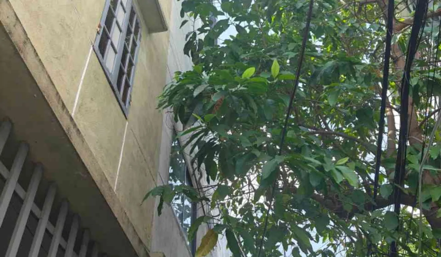 Bán nhà mặt phố lô góc, Phan Đăng Lưu, Hải Châu, Đà Nẵng, diện tích 141m², kinh doanh ổn định... Bán nhà mặt phố tại Hải Châu, Đà Nẵng 01
