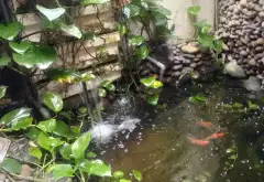 Nhà Phố Đẳng Cấp Tại Quận 12 Với Không Gian Sống Lý Tưởng... Bán nhà riêng tại Tân Thới Hiệp, Hồ Chí Minh 02