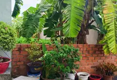 Bán đất 116m2 tại Phường Thạnh Lộc, vị trí thuận lợi, pháp lý rõ ràng... Bán đất tại An Phú Đông, Hồ Chí Minh 08