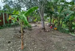 Cơ hội vàng sở hữu đất mặt tiền rộng lớn tại Bình Chánh với giá tốt... Bán đất tại Bình Chánh, Hồ Chí Minh 02