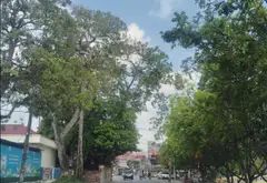 Lô góc 3 mặt thoáng tại khu Lâm Động, P. Thiên Hương, Hải Phòng... Bán đất tại Thiên Hương, Hải Phòng 04