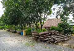 Bán đất phường Thới An, Hồ Chí Minh, diện tích 2404 m2, pháp lý cơ sở, giá 78 tỷ... Bán đất tại Thới An, Hồ Chí Minh 04