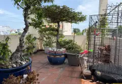Nhà mặt phố 4 tầng 69,7m2 tại Gò Vấp giá giảm còn 10,8 tỷ... Bán nhà mặt phố tại Gò Vấp, Hồ Chí Minh 15
