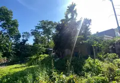 Đất nền vị trí đắc địa tại tổ dân phố 7, thị trấn An Dương... Bán đất tại An Dương, Hải Phòng 03