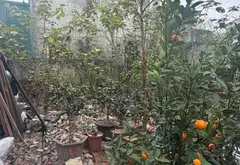 THƯỜNG TÍN CỬA NGÕ PHÍA NAM NGAY SÁT VÀNH ĐAI 4 , QUỐC LỘ 1A , SÂN VẬN ĐỘNG TRỐNG ĐỒNG CHỈ HƠN 3 TỶ... Bán đất tại Thường Tín, Hà Nội 01