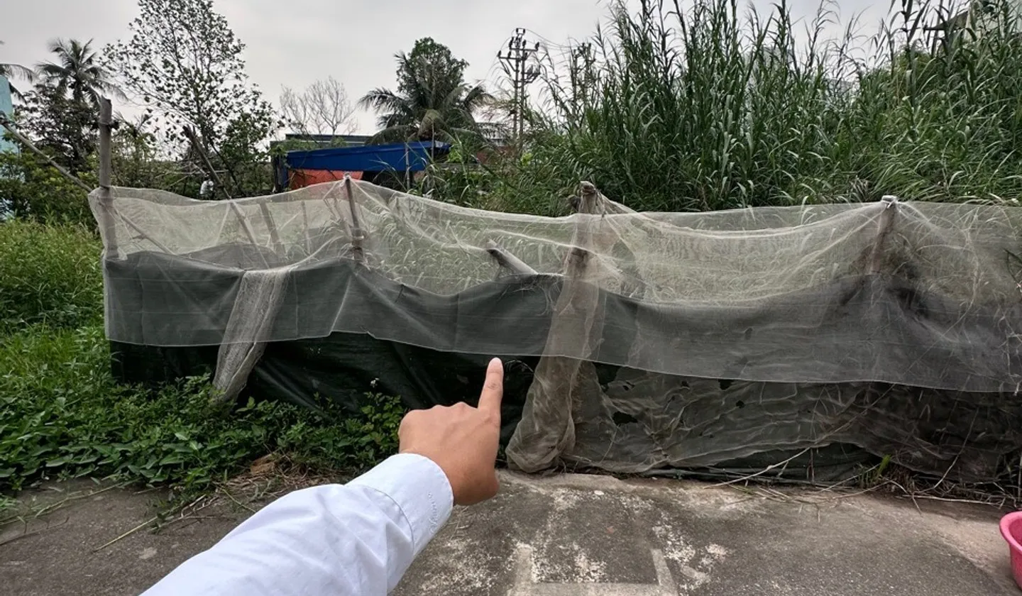 Đón cơ hội sở hữu đất vàng vị trí đắc địa tại Cống Mỹ... Bán đất tại An Dương, Hải Phòng 01