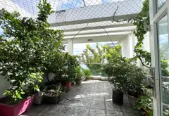 Bán nhà riêng 4 tầng phường 8 quận Gò Vấp, hẻm xe hơi, 81.3m², pháp lý đầy đủ... Bán nhà riêng tại Thông Tây Hội, Hồ Chí Minh 05