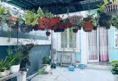 Bán nhà mặt phố phường An Nhơn, TP. Hồ Chí Minh, lô góc 3 mặt tiền, thang máy, cho thuê 32 triệu... Bán nhà mặt phố tại An Nhơn, Hồ Chí Minh 11