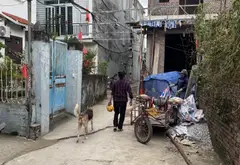 Bán đất 54m² ngõ Bình Kiều, Đông Hải, Hải Phòng với vị trí đắc địa... Bán đất tại Đông Hải, Hải Phòng 01