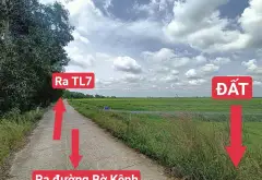Đất - 533m² - Thái Mỹ, Củ Chi, TP Hồ Chí Minh - 1.3 tỷ... Bán đất tại Thái Mỹ, Hồ Chí Minh 05