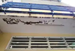 Cơ Hội Sở Hữu Nhà 4 Tầng Kiên Cố Tại Phường Duyên Hồng Với Giá Cực Tốt... Bán nhà riêng tại Diên Hồng, Hồ Chí Minh 09