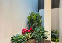 🍁NHÀ MỚI KÍNH KONG SIÊU THOÁNG SÁNG - THANG MÁY - PHỐ VIP, TRUNG TÂM 3 QUẬN... Bán nhà riêng tại Tây Hồ, Hà Nội 09