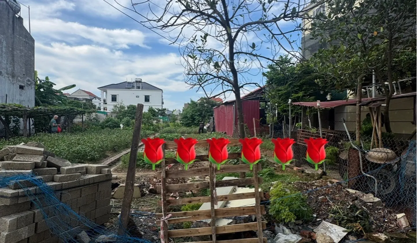 ⭕️Hơn 3 tỷ lô 126m2 Đất Sát Hồ Điều Hòa Quang Minh - Sổ Đỏ Sẵn, Ô Tô Vào Tận Nơi Võ Văn Kiệt... Bán đất tại Quang Minh, Hà Nội 01