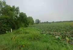 Đất - 1846m² - Bình Lợi, Bình Chánh, TP Hồ Chí Minh - 5.5 tỷ... Bán đất tại Bình Lợi, Hồ Chí Minh 02