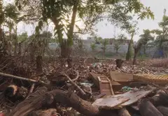 Bán đất thổ cư ngang rộng 18m tại Nhơn Đức, Nhà Bè... Bán đất tại Hiệp Phước, Hồ Chí Minh 05