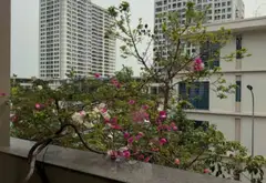 Biệt thự liền kề 4 tầng 90m2 tại GreenBay Village Hùng Thắng... Bán biệt thự, liền kề tại Bãi Cháy, Quảng Ninh 08