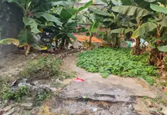 Bán đất vị trí đẹp tại xã Dư Xá, diện tích 48.6m², hướng Đông Bắc... Bán đất tại Ninh Xá, Bắc Ninh 02