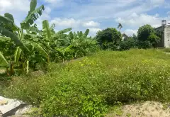 Đất Vàng Phù Lưu - Xách Xe Vào Nhà, Đầu Tư Chuẩn Xịn... Bán đất tại Thủy Nguyên, Hải Phòng 01