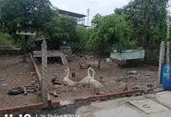 Đất Đẹp Tại Đặng Công Bỉnh Chỉ 2.65 Tỷ!
98 m² gần Vinhomes hóc môn
Giá đất đang nóng lên từng ngày... Bán đất tại Xuân Thới Sơn, Hồ Chí Minh 11