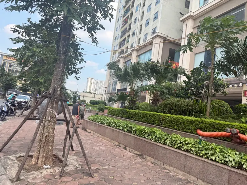 Shophouse vị trí vàng tại Gelexia Tam Trinh - Cơ hội đầu tư dòng tiền ổn định... Bán Shophouse tại Hoàng Mai, Hà Nội 01