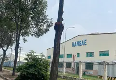 Bán nhà riêng 441m2 xã Nhuận Đức Củ Chi giá 4.5 tỷ... Bán nhà riêng tại Đức Nhuận, Hồ Chí Minh 12