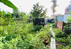 Đất rộng 536m² nở hậu, vị trí vàng tại Thuận An... Bán đất tại Thuận An, Hồ Chí Minh 04