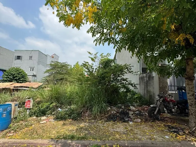Đất vàng mặt tiền rộng gần chợ đầu mối, giá siêu hấp dẫn... Bán đất tại Tam Bình, Hồ Chí Minh 01