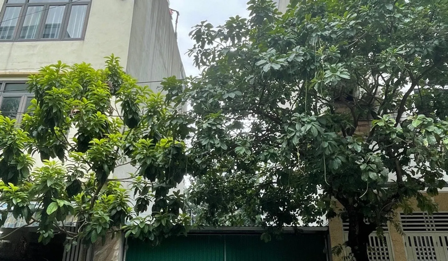 Đất Phân Lô Vỉa Hè Ô Tô Tránh - Sổ Vuông Đẹp, Kinh Doanh Tốt... Bán đất tại Yên Nghĩa, Hà Nội 01