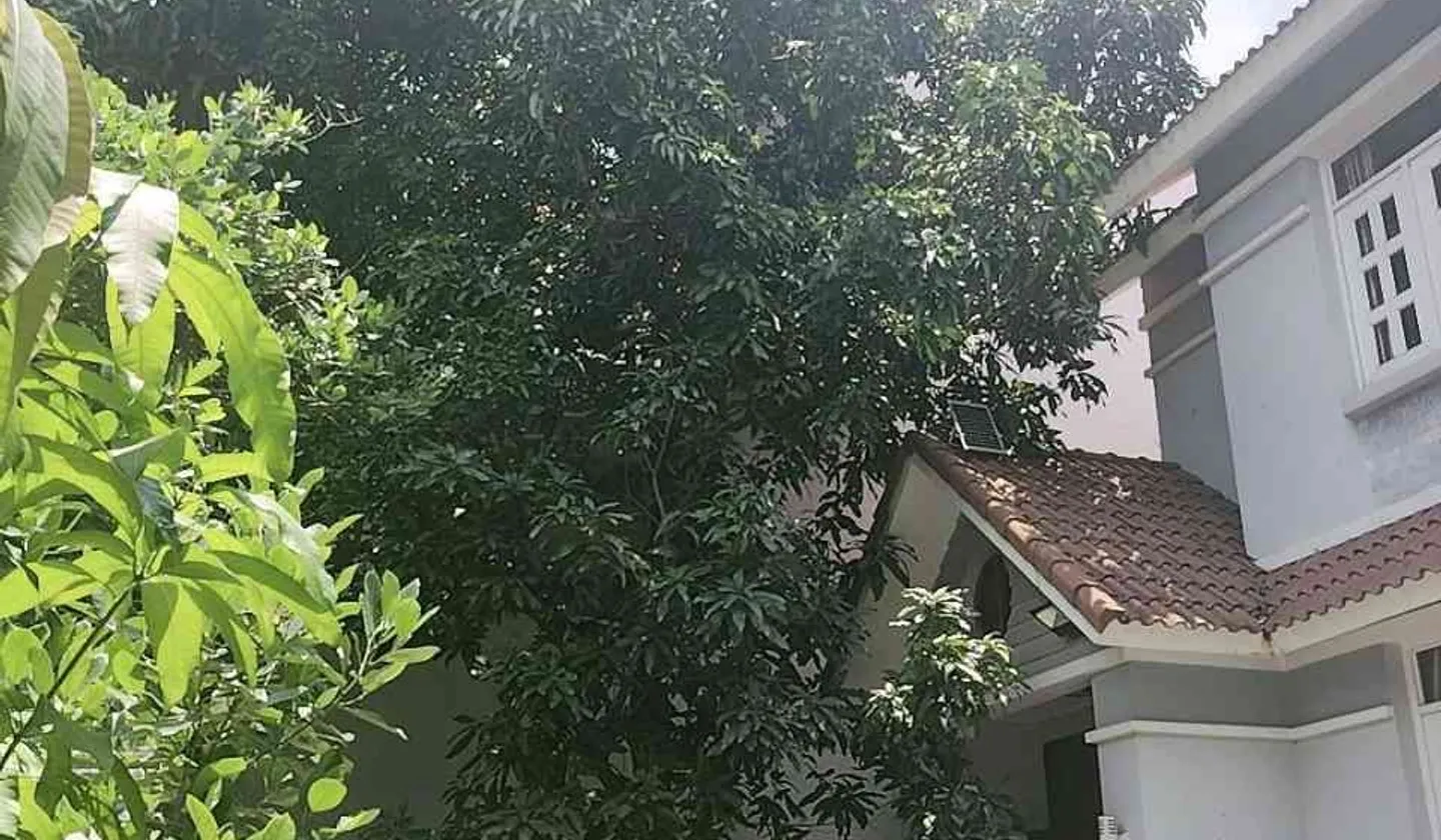 Biệt thự 450m2, hai mặt tiền đẳng cấp tại trung tâm Q2... Bán biệt thự, liền kề tại Cát Lái, Hồ Chí Minh 01