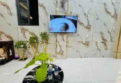 Nhà riêng 4 tầng tại Gò Vấp, diện tích 39m², hẻm xe tải thông thoáng... Bán nhà riêng tại Thông Tây Hội, Hồ Chí Minh 05
