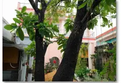 Biệt Thự Mặt Tiền Đường Thạnh Lộc Đẳng Cấp, Giao Thông Kết Nối Nhịp Nhà Phố Trung Tâm... Bán nhà mặt phố tại An Phú Đông, Hồ Chí Minh 07