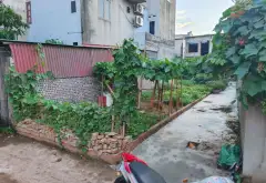 Cơ Hội Vàng Sở Hữu Đất Vị Trí Đẹp Tại Phố Giếng, Từ Sơn - Giá Hấp Dẫn 1,5 Tỷ... Bán đất tại Phù Khê, Bắc Ninh 04