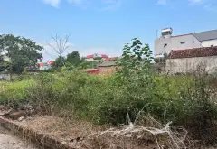 Đất đẹp nở hậu ở Tam Đa, Bắc Ninh - cơ hội đầu tư sinh lời... Bán đất tại Tam Đa, Bắc Ninh 15