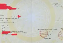 Cơ Hội Hiếm Có: Bán Đất Tặng Nhà Cấp 4 Vị Trí Đắc Địa Ở Bắc Hồng... Bán đất tại Phúc Thịnh, Hà Nội 01