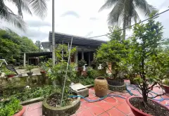 Bán nhà vườn 1 tầng 666m² tại Bình Mỹ, Củ Chi, giá hợp lý hơn 8 triệu/m²... Bán nhà riêng tại Bình Mỹ, Hồ Chí Minh 10