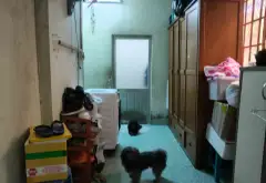 Bán nhà riêng 4PN rộng 273m2 tại Xuân Thới Đông, Hóc Môn, 7 tỷ... Bán nhà riêng tại Xuân Thới Sơn, Hồ Chí Minh 07
