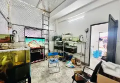 Bán nhà riêng 3 tầng Phú Thượng Tây Hồ lô góc ô tô tránh, gần KĐT Ciputra... Bán nhà riêng tại Phú Thượng, Hà Nội 05