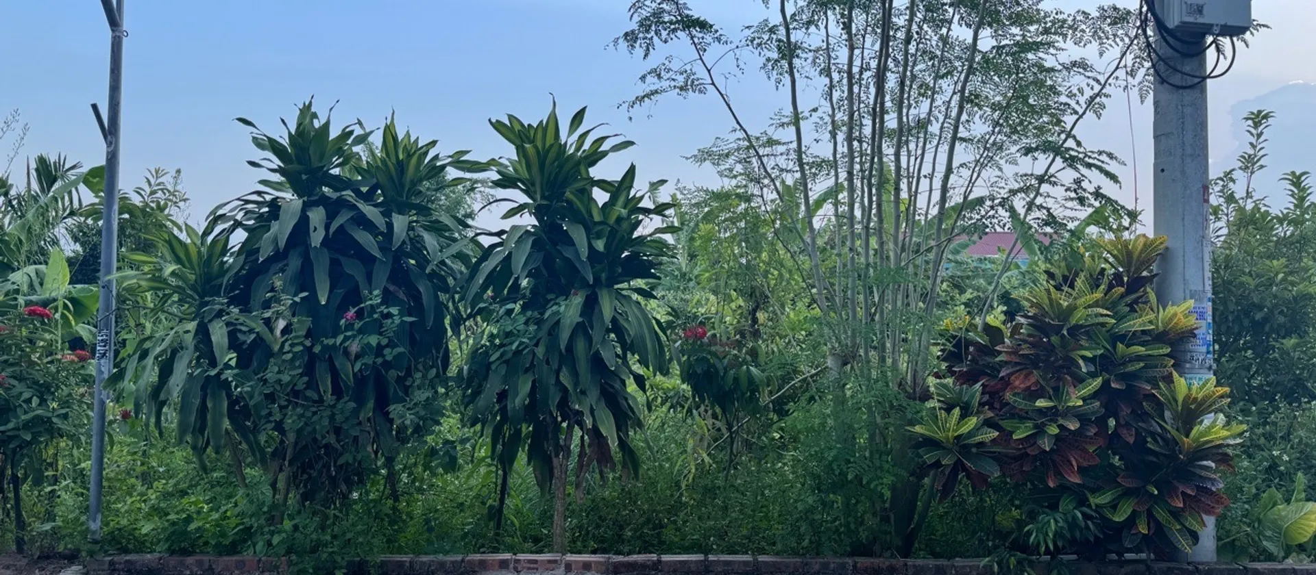 Bán đất mặt tiền 5m tại xã gần khu thể thao, đường ô tô tránh, diện tích 91.1m2... Bán đất tại Yên Mỹ, Hưng Yên 01