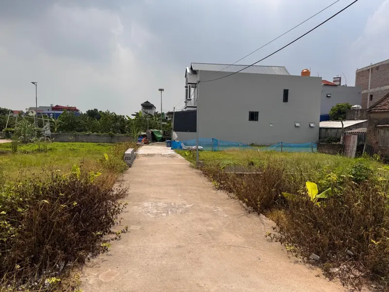 Bán đất phân lô hai mặt thoáng tại xã Triệu Việt Vương, Hưng Yên... Bán đất tại Triệu Việt Vương, Hưng Yên 01
