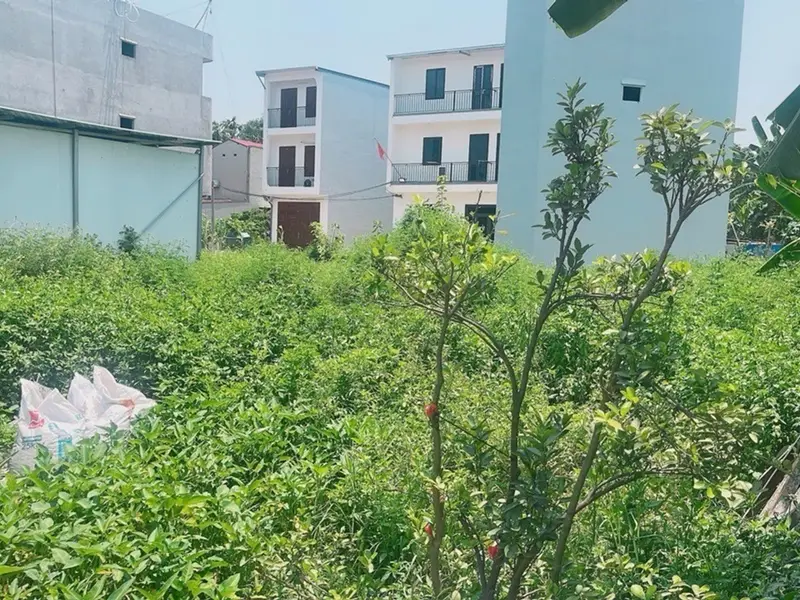 Bán đất 118m2 đất thổ cư Mai Nội Sóc Sơn, giá 3,45 tỷ... Bán đất tại Sóc Sơn, Hà Nội 01