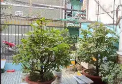 Cơ hội vàng sở hữu nhà mặt tiền Âu Dương Lân, Quận 8, giá giảm sốc... Bán nhà riêng tại Chánh Hưng, Hồ Chí Minh 03
