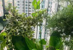 Căn hộ chung cư cao cấp Goldmark City - 67.4m², Bắc Từ Liêm, Hà Nội... Bán căn hộ chung cư tại Phú Diễn, Hà Nội 06