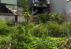 Lô đất vị trí vàng tuyến đầu Cát Linh Tràng Cát... Bán đất tại Hải An, Hải Phòng 03