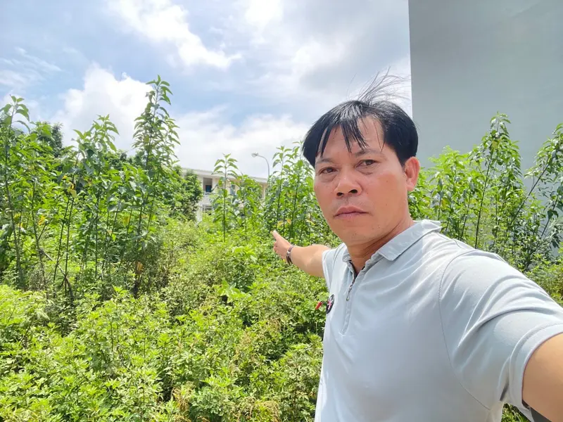 Bán đất vị trí góc mặt đường đôi Yên Nghĩa, phù hợp kinh doanh... Bán đất tại Hà Đông, Hà Nội 01