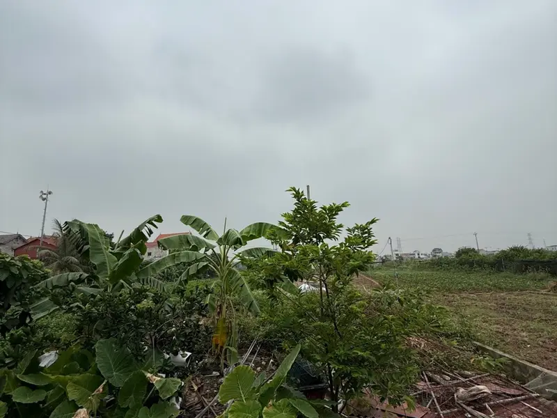 Đất Đẹp Dương Hạ - mế sở - Hưng Yên : Kinh Doanh & và đầu tư... Bán đất tại Mễ Sở, Hưng Yên 01