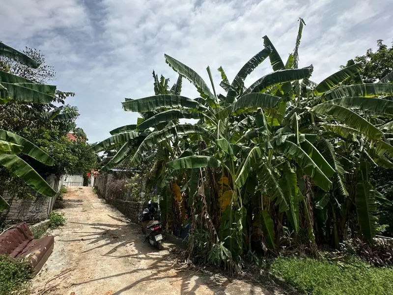 Đất đẹp trung tâm Phúc Thọ, giá hấp dẫn... Bán đất tại Phúc Thọ, Hà Nội 01