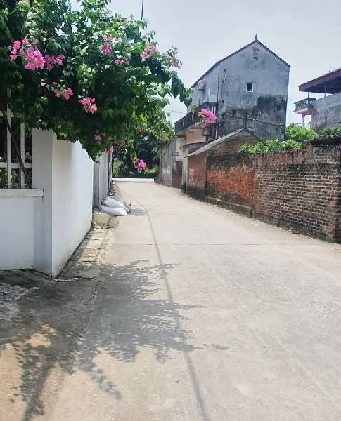 Bán Nhà Cấp 4 - Vị Trí Đẹp, Giá Hấp Dẫn!... Bán owner_side tại Nội Bài, Hà Nội 01
