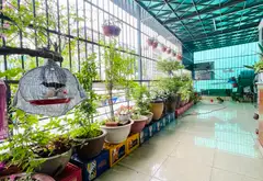 🔥 SIÊU PHẨM MẶT TIỀN ĐÔNG HƯNG THUẬN - NGANG KHỦNG 11M - DÒNG TIỀN 60TR/THÁNG 🔥... Bán nhà mặt phố tại Đông Hưng Thuận, Hồ Chí Minh 08